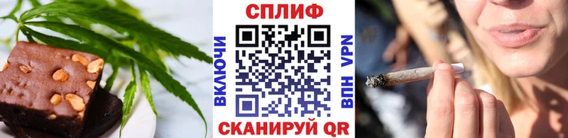 Купить закладки  Североморск  Cannafood конопля 
