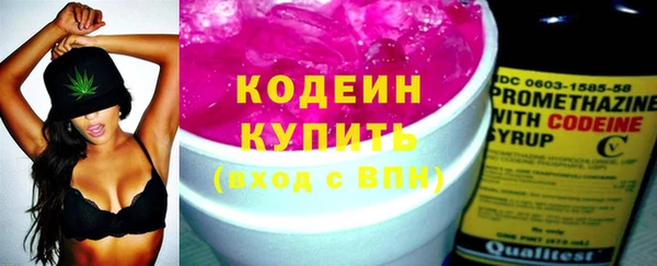 шишки Богородицк