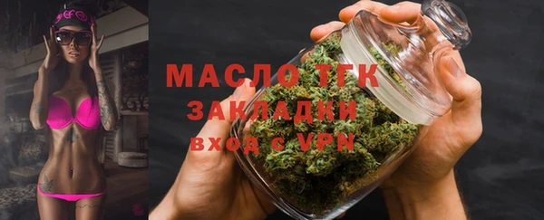 шишки Богородицк
