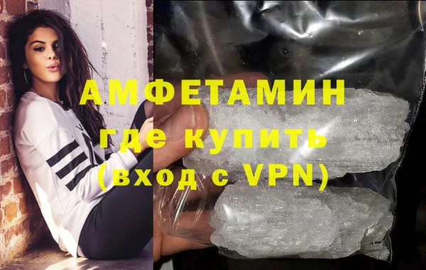 шишки Богородицк