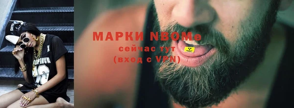 шишки Богородицк