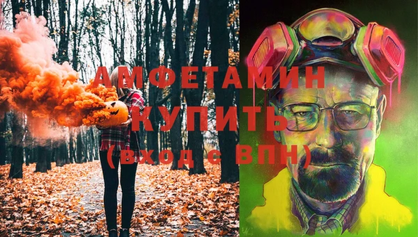 шишки Богородицк