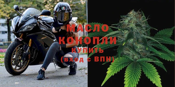 шишки Богородицк