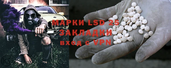 шишки Богородицк