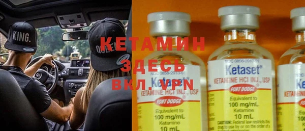 шишки Богородицк